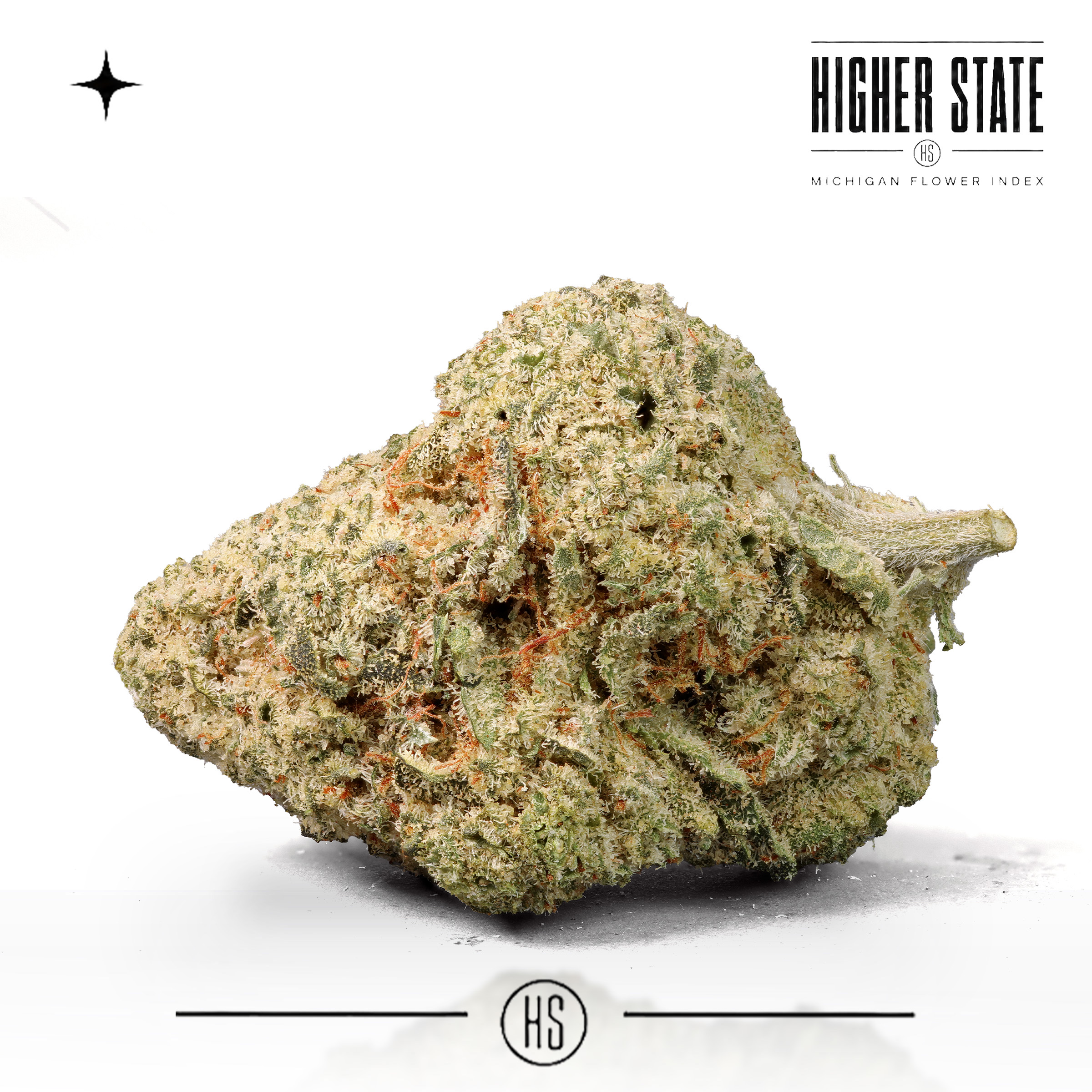 Magic Marker by Cali Blaze — whole flower