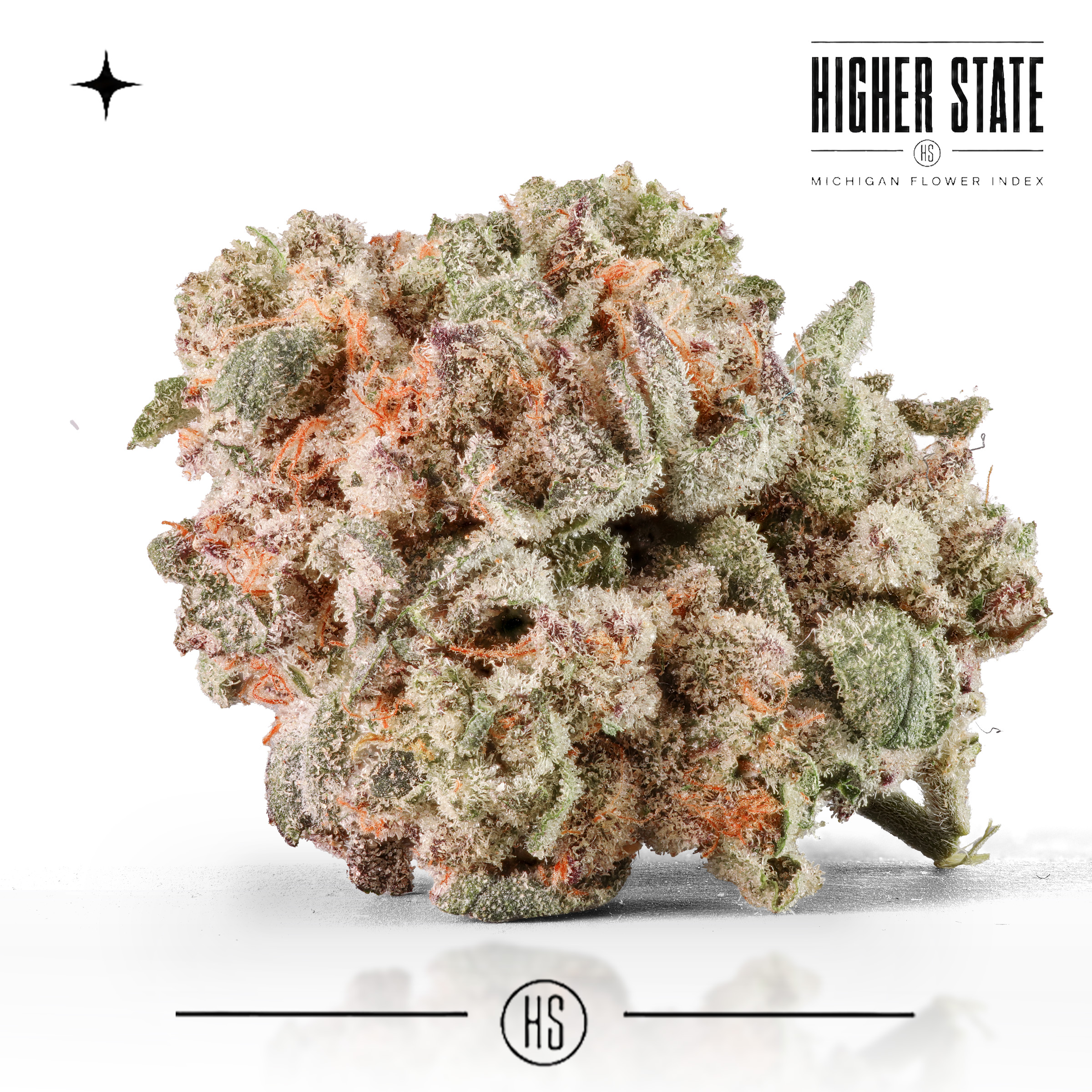 Jelly Runtsir by Cloud Farms — whole flower