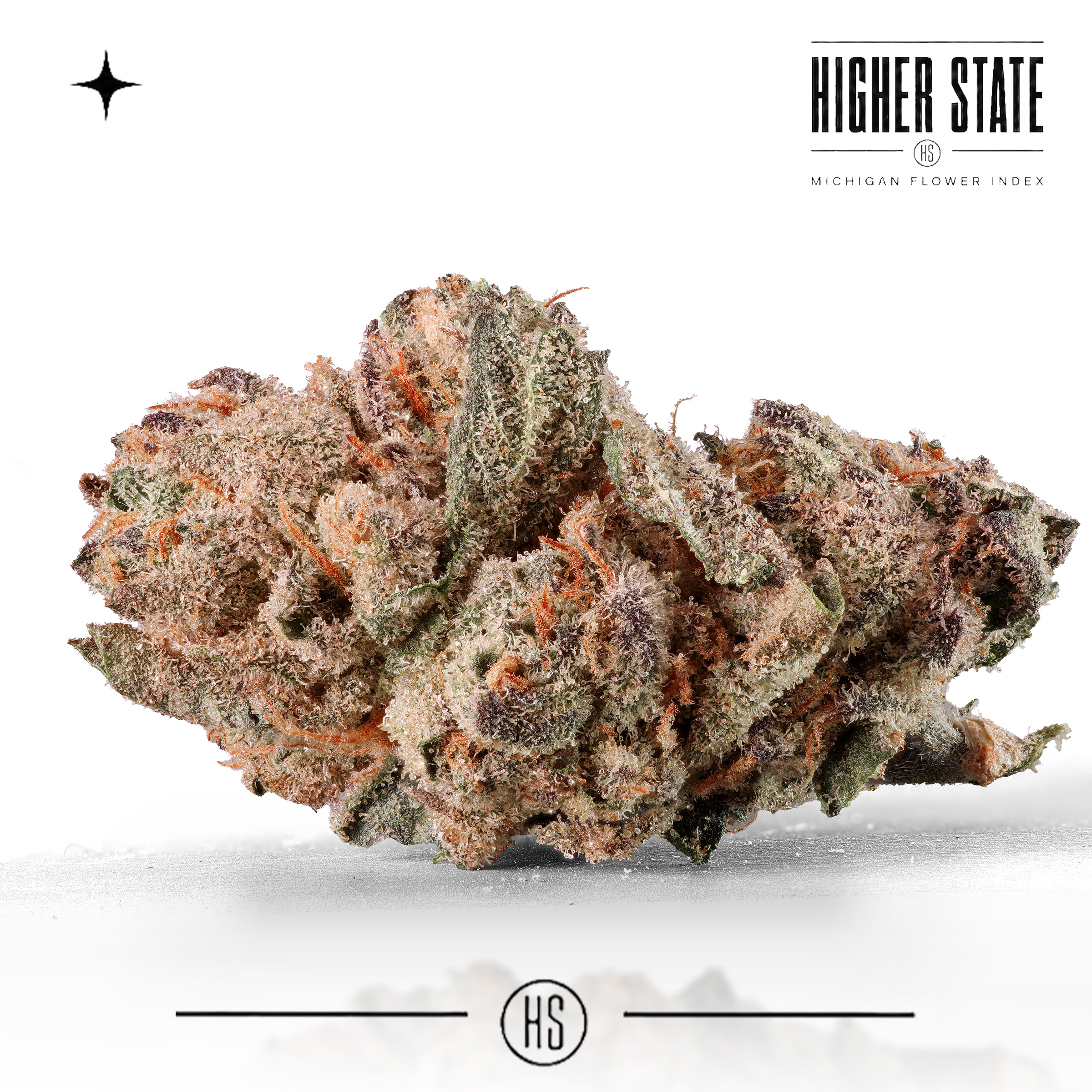 Lemon Cherry Burst by Cloud Farms — whole flower