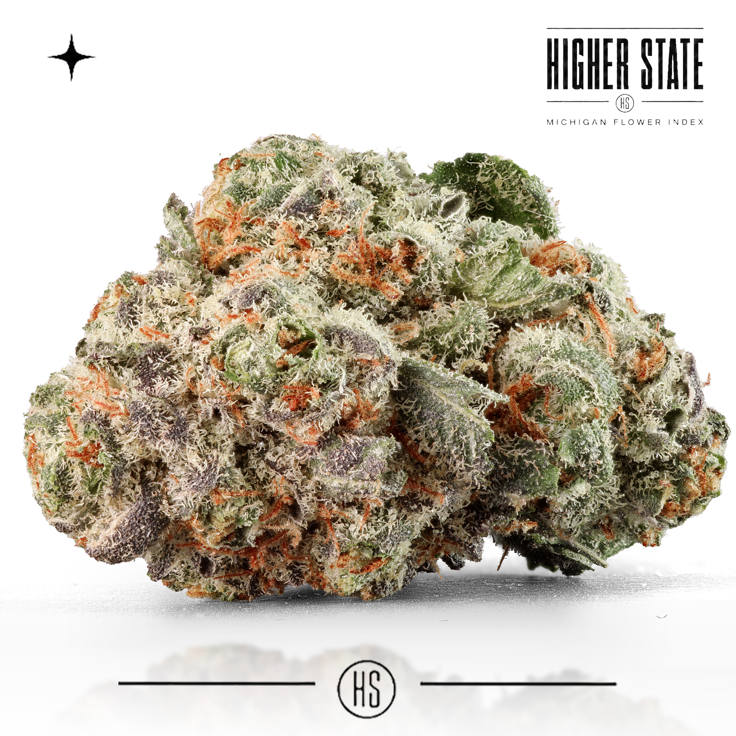 Pure Michigan by Cloud Farms — whole flower