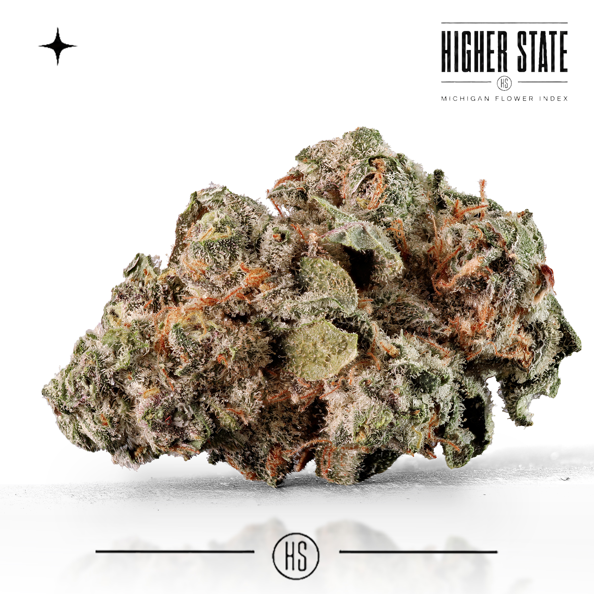 Sherbacio by Cloud Farms — whole flower
