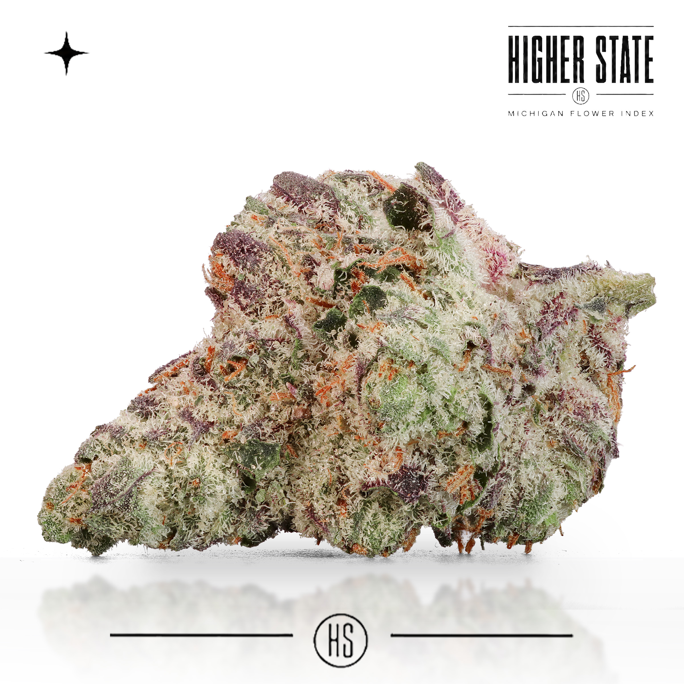 Forbidden Fruit by Common Citizen — whole flower