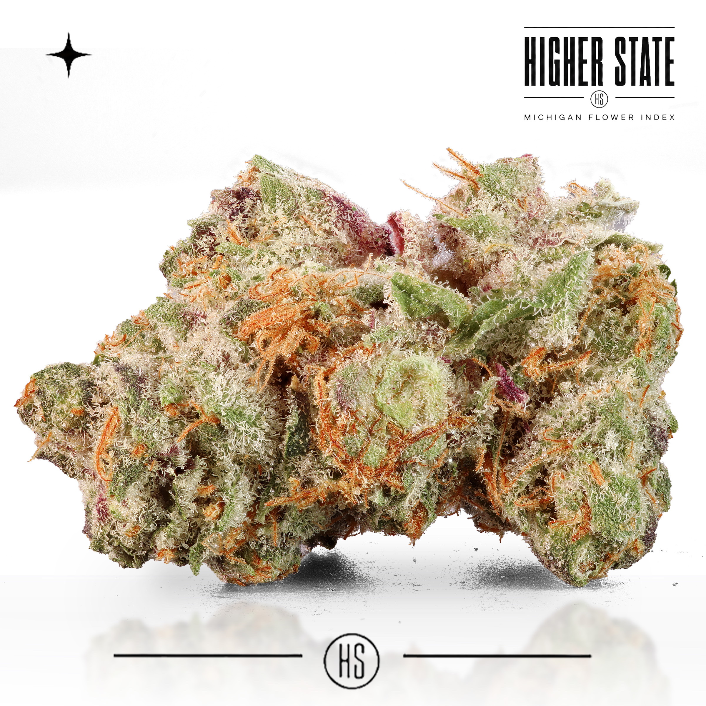 Shock Tartz by Dank & Disorderly — whole flower