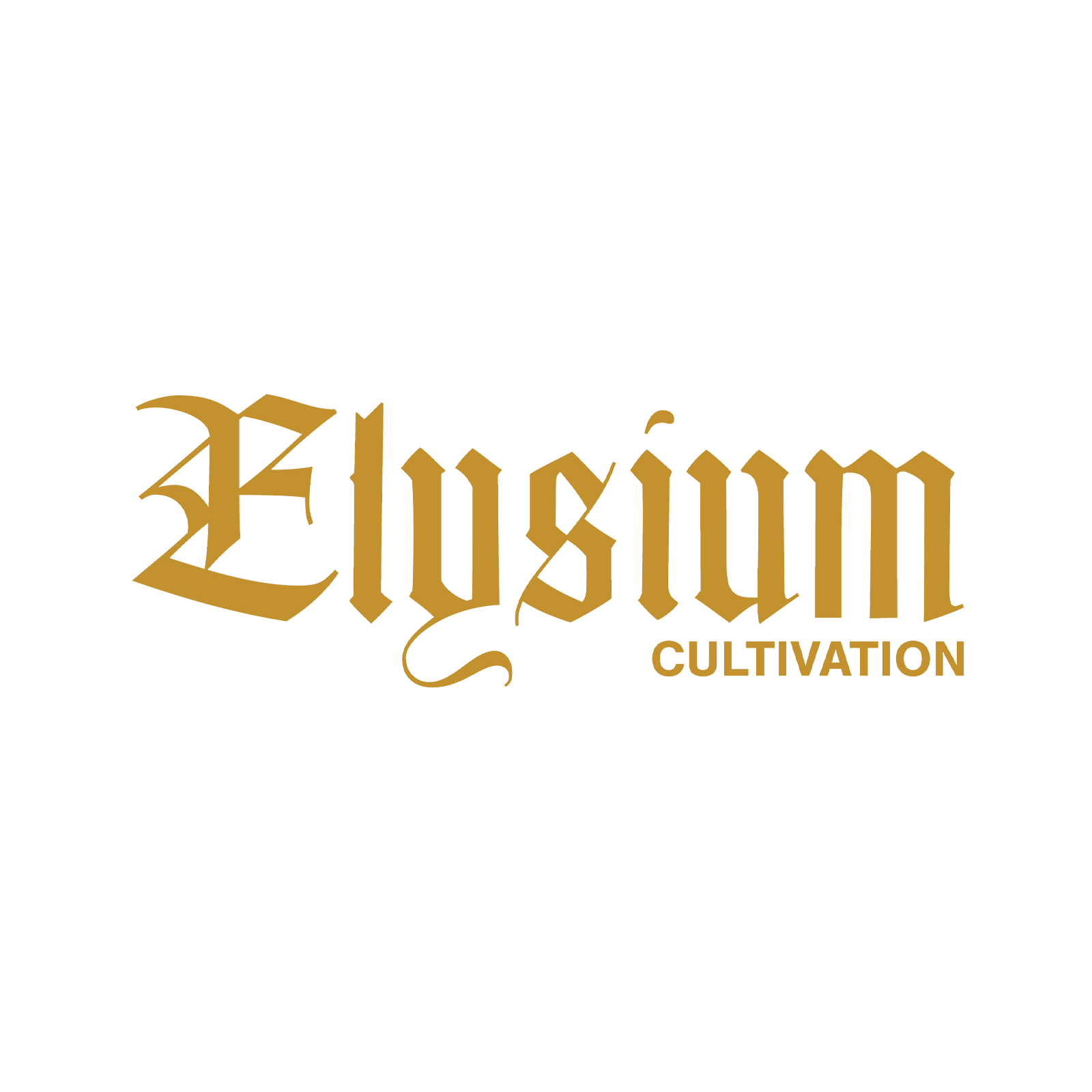 Elysium logo