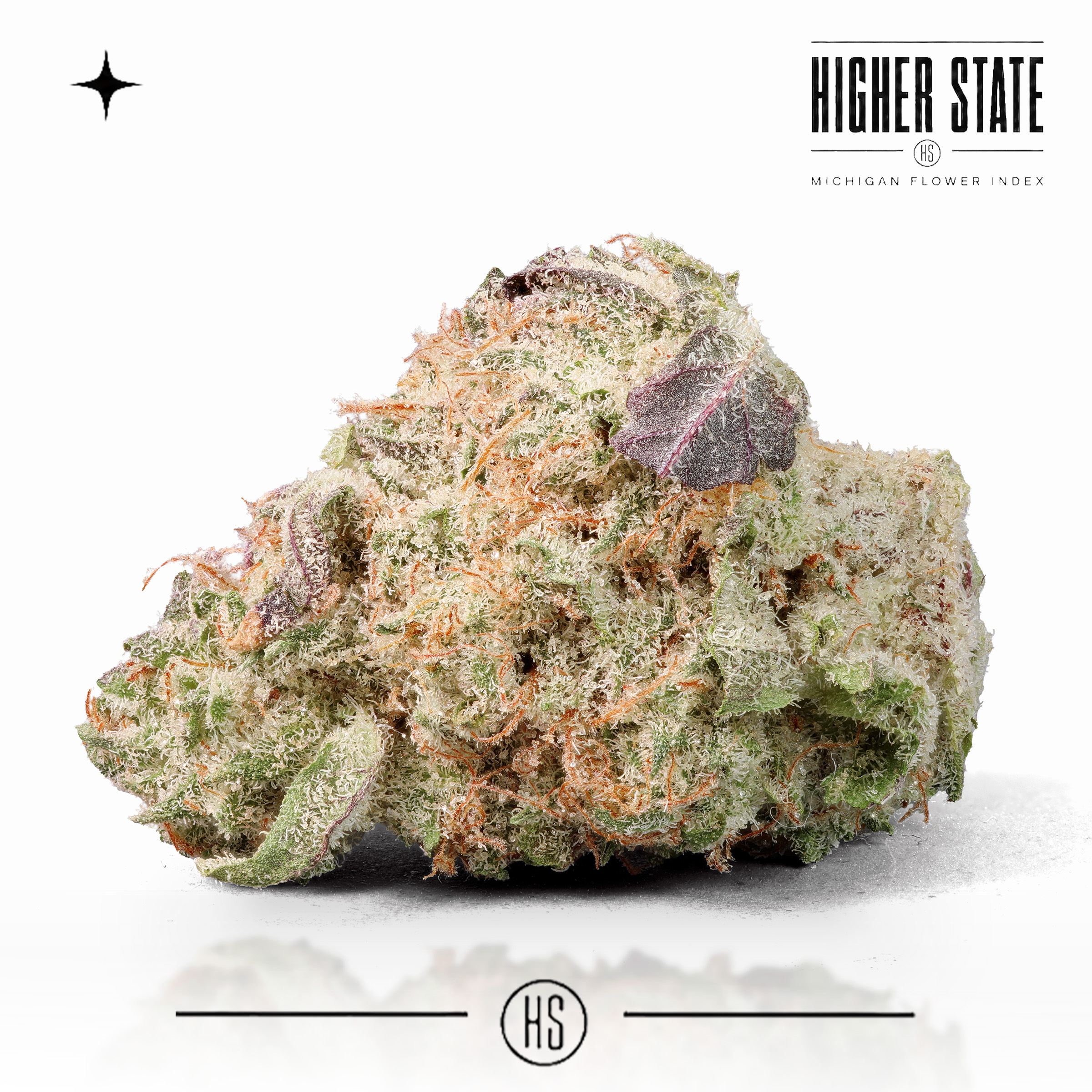 Blueberry Muffin by Freedom Green — whole flower
