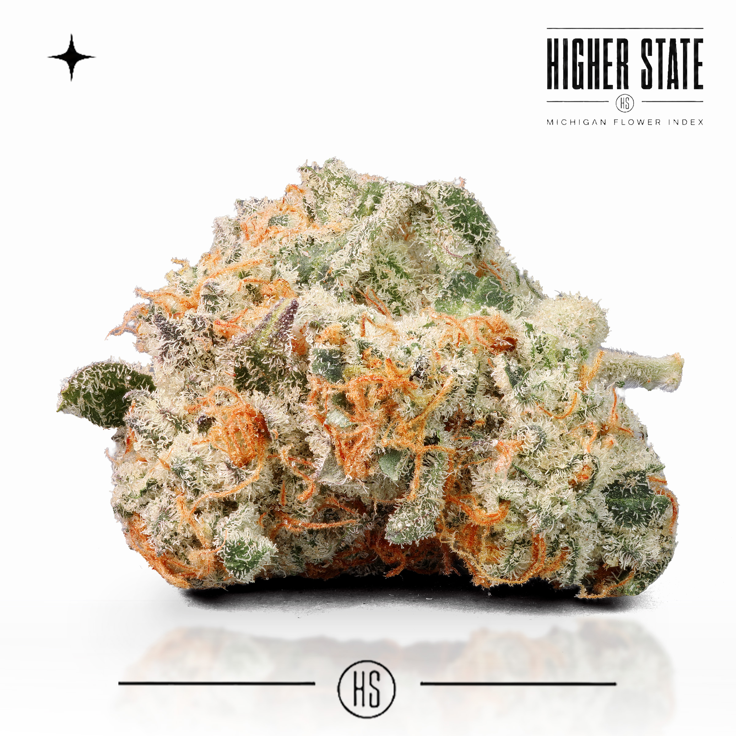 Sweet Dreams by Freedom Green — whole flower