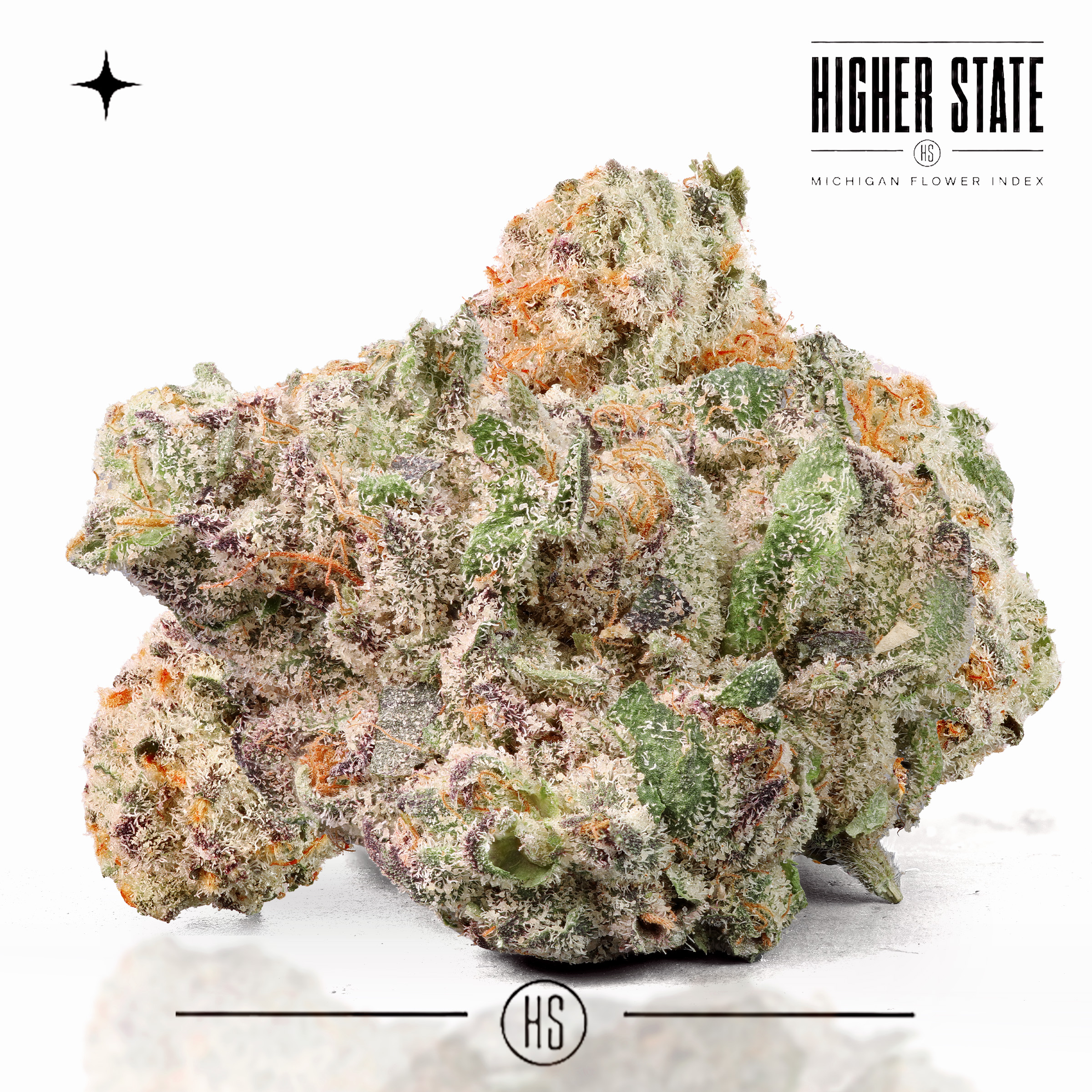 La Rosa by Freedom Green — whole flower