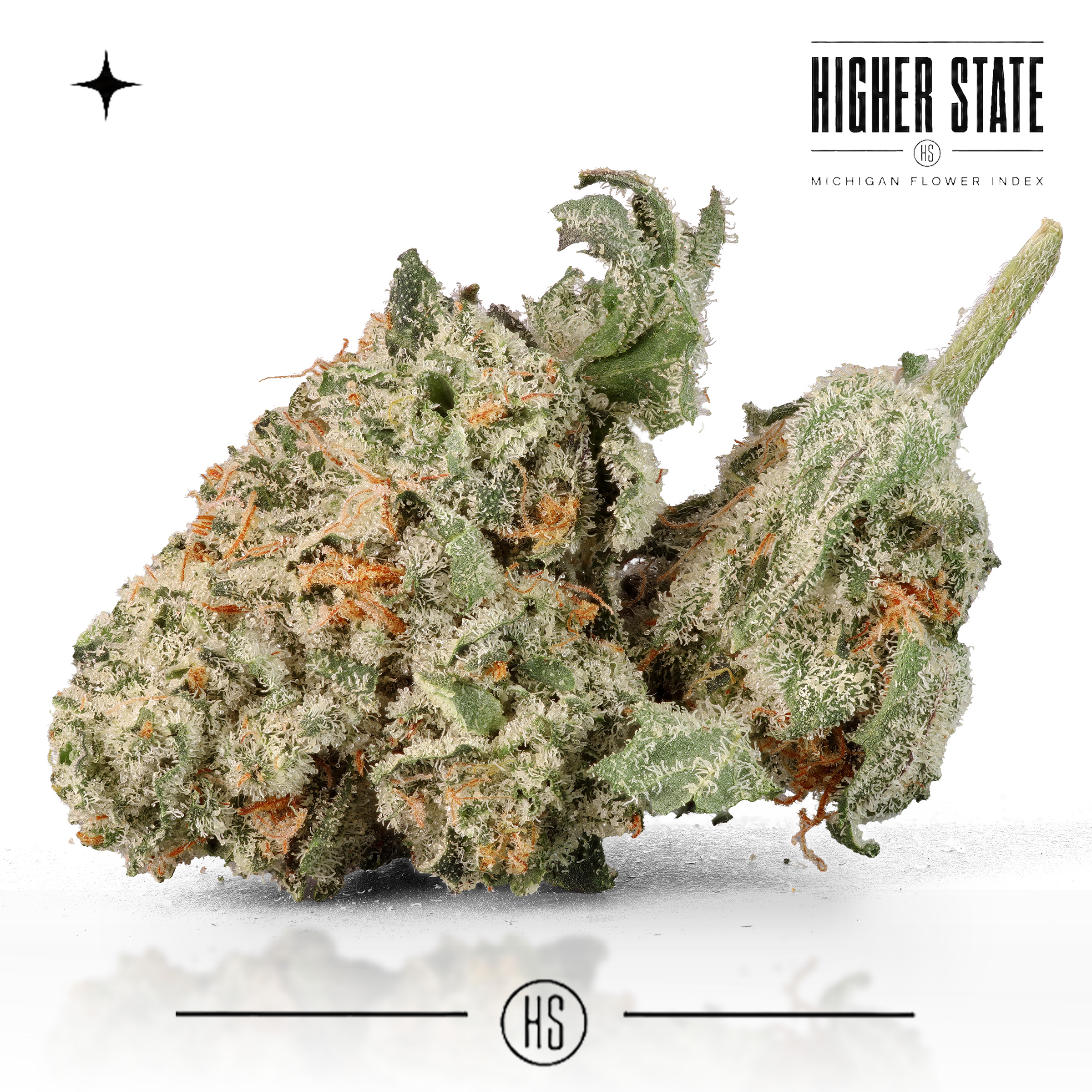 Purple Limeade by Guerilla Grown — whole flower