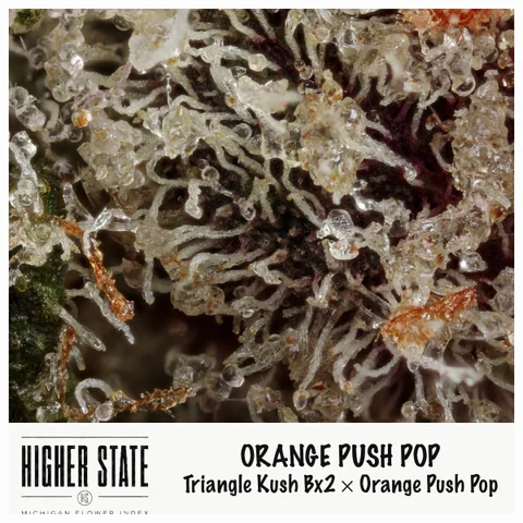 Orange Push Pop by Pro Gro — ultra-macro detail