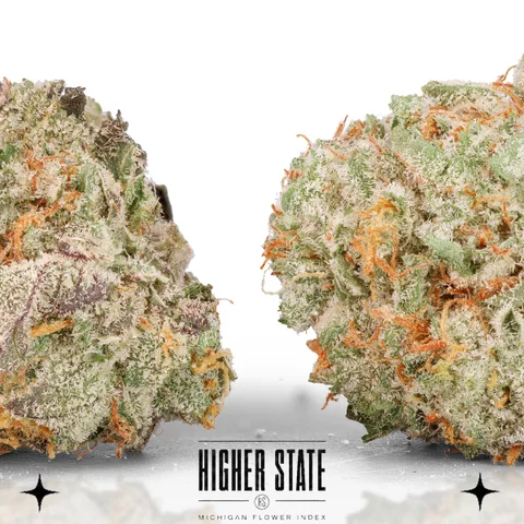 Orange Push Pop by Pro Gro — flower detail