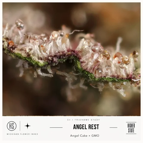 Angel Rest by Freedom Green — ultra-macro detail