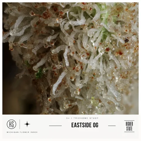 Eastside OG by Common Citizen — ultra-macro detail