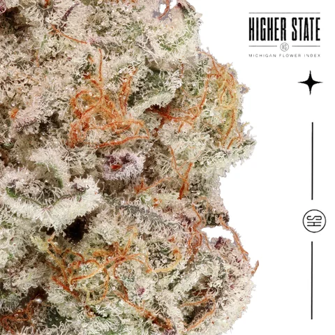 Noriega by Guerilla Grown — macro detail