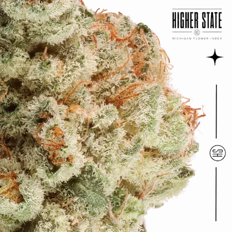 Grape Stomper by Cali Blaze — macro detail