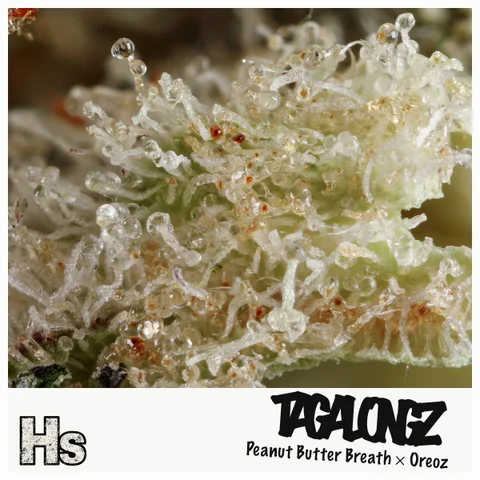 Tagalongz by Weed Snobs — ultra-macro detail