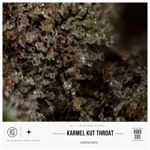 Karmel Kut Throat by Cloud Farms — ultra-macro detail