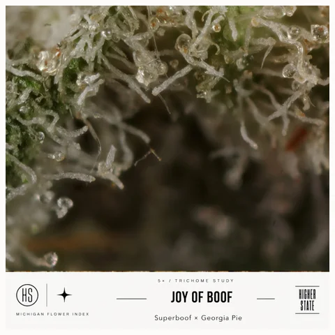 Joy of Boof by Green Ganja — ultra-macro detail