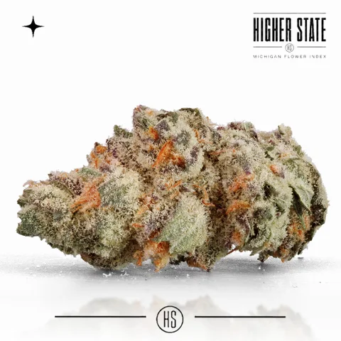 Bob Hope by One Garden — whole flower