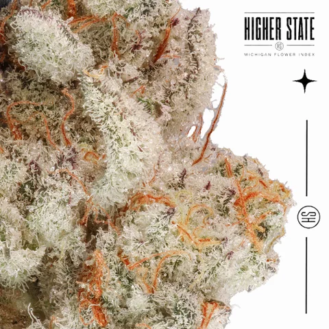 Cap Junky by Guerilla Grown — macro detail