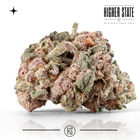 Karmel Kut Throat by Cloud Farms — whole flower