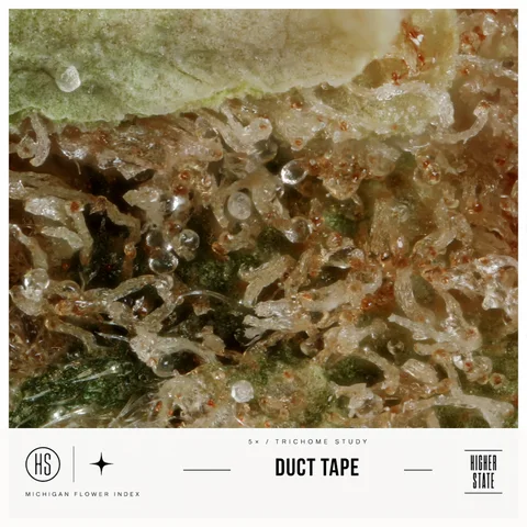 Duct Tape by Green Ganja — ultra-macro detail