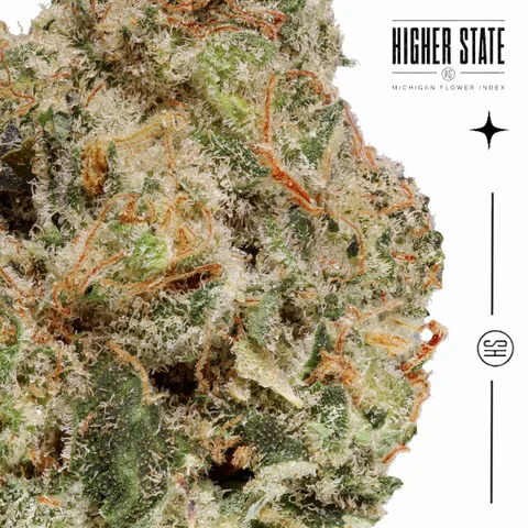 Magic Bubble Gum by Weed Snobs — macro detail