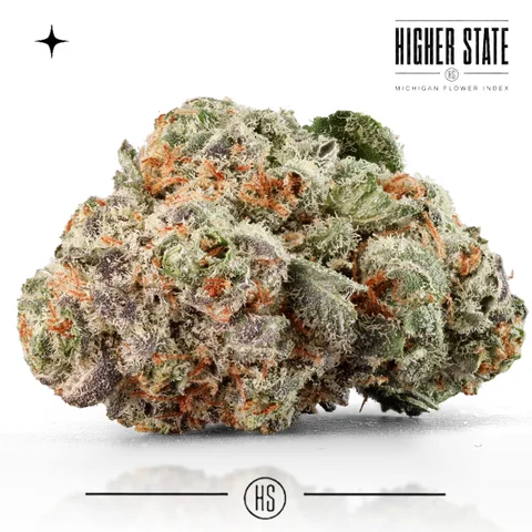 Pure Michigan by Cloud Farms — whole flower
