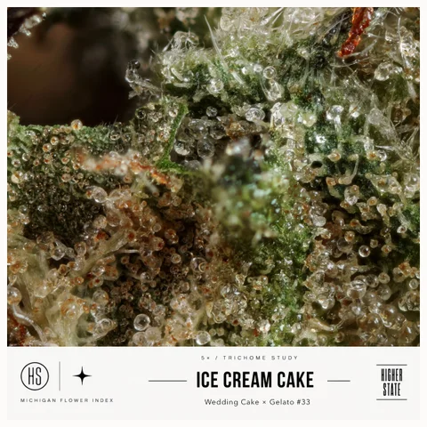 Ice Cream Cake by Local Grove — ultra-macro detail