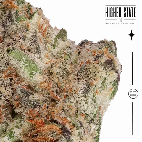 Star Killer by Common Citizen — macro detail