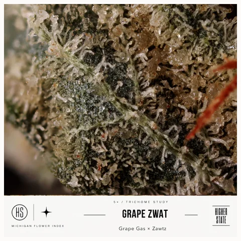 Grape Zwat by One Garden — ultra-macro detail
