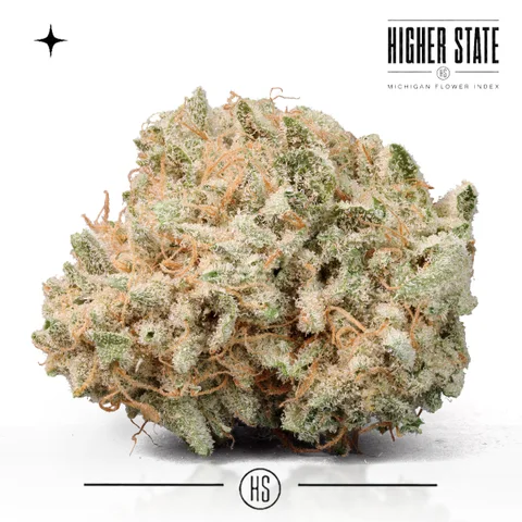 Galactic Sugar by Elysium — whole flower