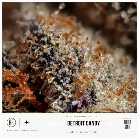 Detroit Candy by Cloud Farms — ultra-macro detail