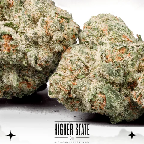 Buddha Tahoe by Common Citizen — flower detail