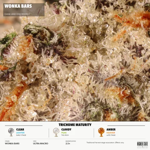 Wonka Bars by Dank & Disorderly — ultra-macro detail