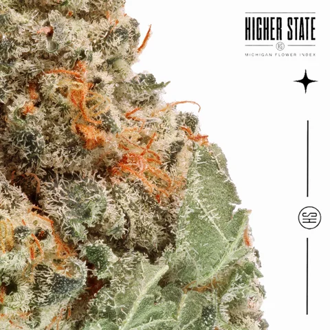Crazy Cookies by Objectiv Growth — macro detail