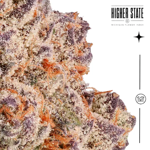 Black Cherry Gelato by Elysium — macro detail