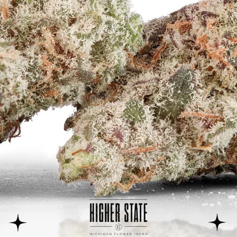 Blueberry Sugar by Primitiv — flower detail