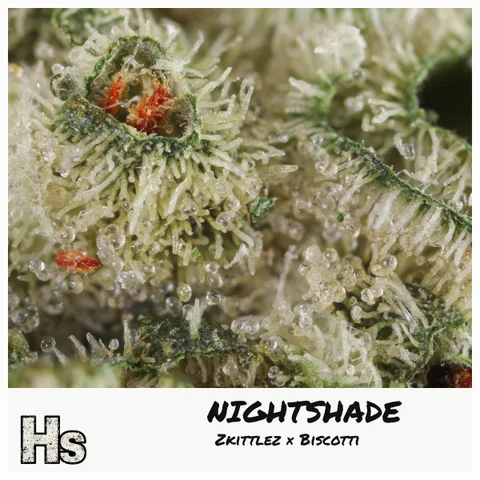 Nightshade by Narvona — ultra-macro detail