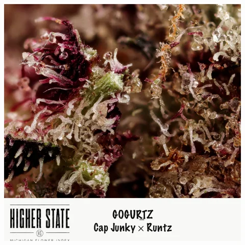 Gogurtz by Local Grove — ultra-macro detail