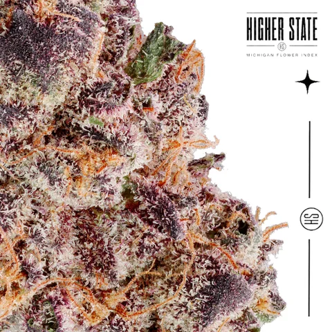 Biscotti Sherb Cake by MadPacks — macro detail