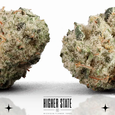 Big Bang by Green Ganja — flower detail