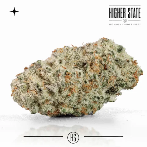 Black Ice by Glacier — whole flower