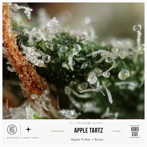 Apple Tartz by Weed Snobs — ultra-macro detail