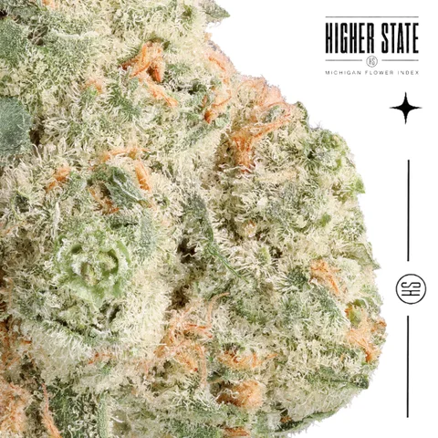 Gelato Punch by Cali Blaze — macro detail