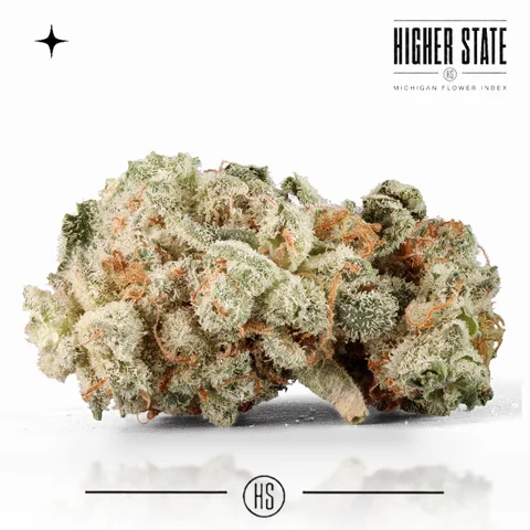 Grape Stomper Gelato by Cali Blaze — whole flower
