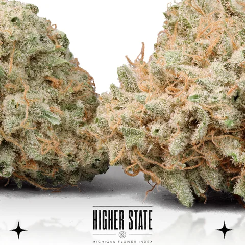 Galactic Sugar by Elysium — flower detail