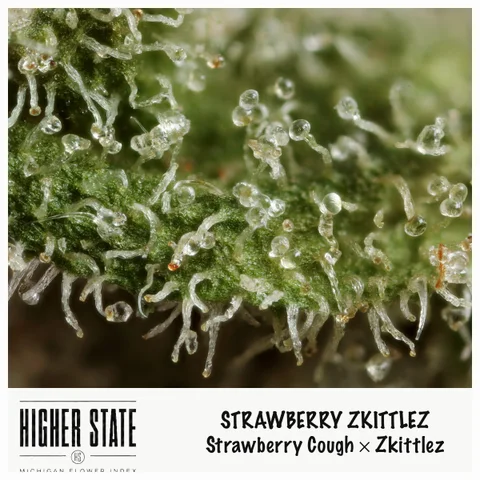 Strawberry Zkittlez by Pro Gro — ultra-macro detail