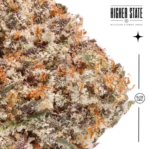Sherbz by Dank & Disorderly — macro detail