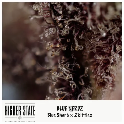 Blue Nerdz by Local Grove — ultra-macro detail