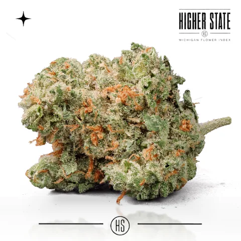 J1 by Common Citizen — whole flower